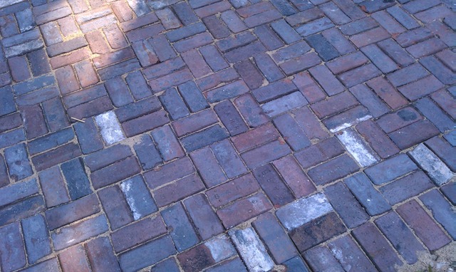 Barr Paver Project - Bucktown - Chicago IL (4)