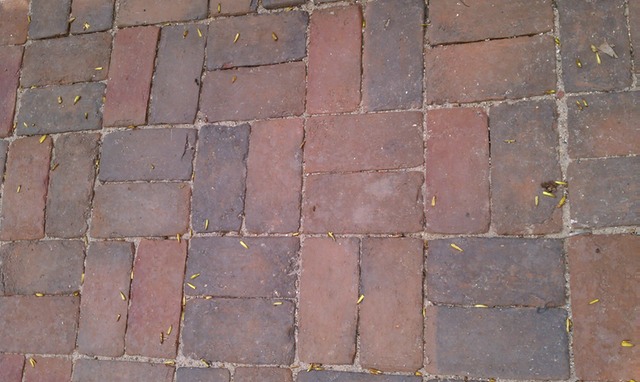 Vermont Brick Pavers - 2214 N Bissel Chicago (3)